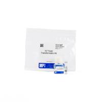 EZ-酵母转换试剂盒