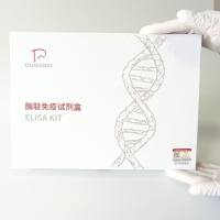 鸡抗II型胶原抗体(Anti-CIIAb)ELISA试剂盒