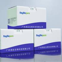 BayBiopure磁珠法全血基因组DNA提取试剂盒（半自动）