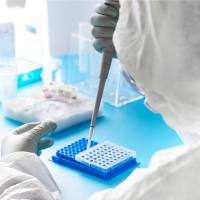 FFPE样本RNA提取试剂盒