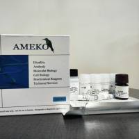 小鼠白介素25(IL-25 ELISA Kit）