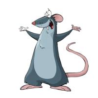 鼠耶尔森菌抗体快速检测试剂盒 说明书