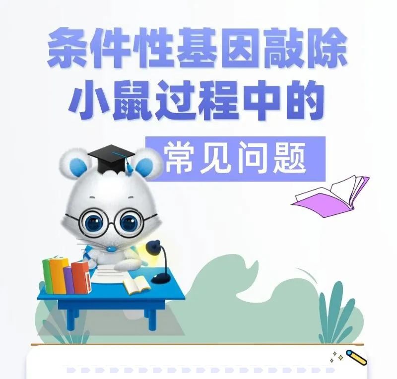 鼠博士吐血整理：条件性基因敲除小鼠使用注意事项