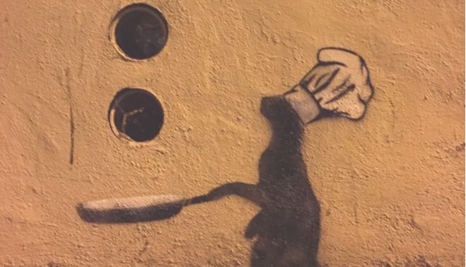 ibidi 聚合物载玻片，源于塑料而超越塑料