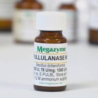 普鲁兰酶M2 E-PULBL Pullulanase M2 (Bacillus licheniformis)