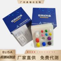 人单纯疱疹病毒抗原2（HSV-Ag2）ELISA检测试剂盒
