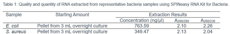 SPINeasy™ 细菌总RNA提取试剂盒，含裂解介质B