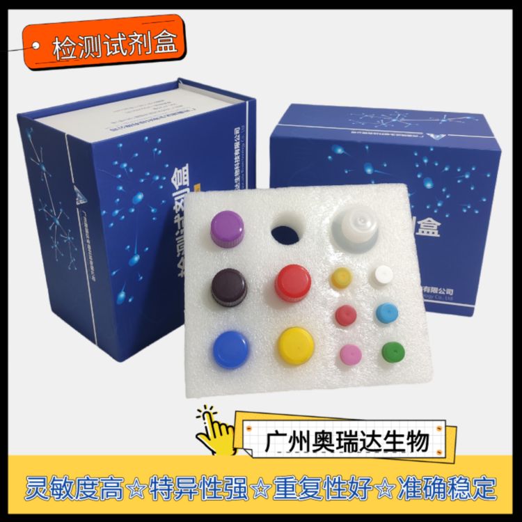 兔子纤溶酶原激活物抑制因子（PAI）ELISA检测试剂盒