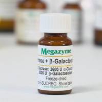 蔗糖酶+β-半乳糖苷酶 E-SUCRBG Sucrase plus β-Galactosidase