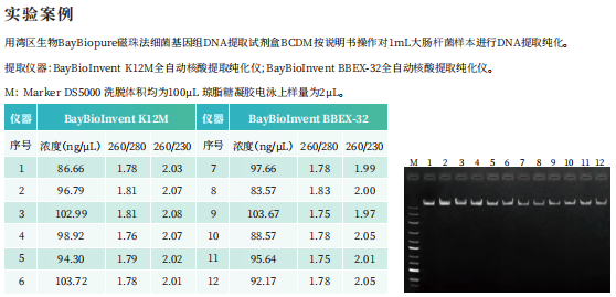 BayBiopure磁珠法细菌基因组DNA提取试剂盒