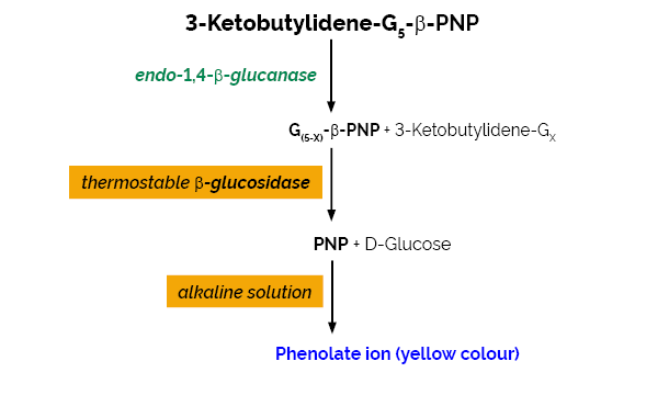 Scheme-K-CellG5-2V CellG5 Megazyme