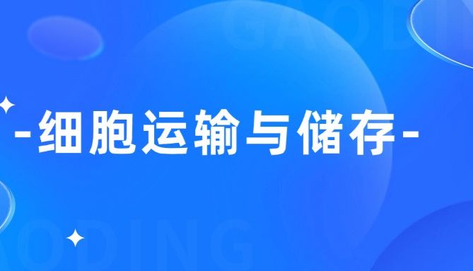 细胞运输与储存