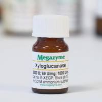 木葡聚糖酶 E-XEGP Xyloglucanase (GH5) (Paenibacillus sp.)