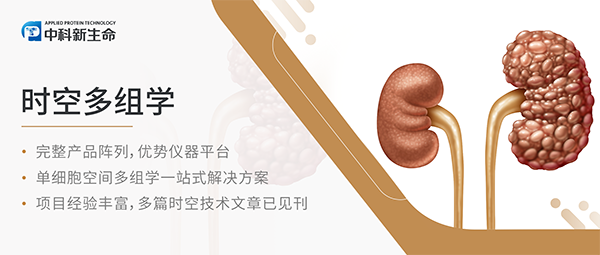 Nat Genet (IF 31.7) | 人体肾脏疾病进展的分子与空间全景图谱：揭示纤维化微环境的关键作用