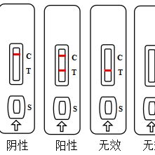 疾控专用鼻疽抗体快速检测试剂盒说明书产品图