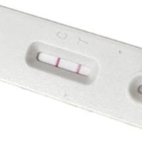 A型肉毒素杆菌抗体检测试剂（胶体金法）说明书