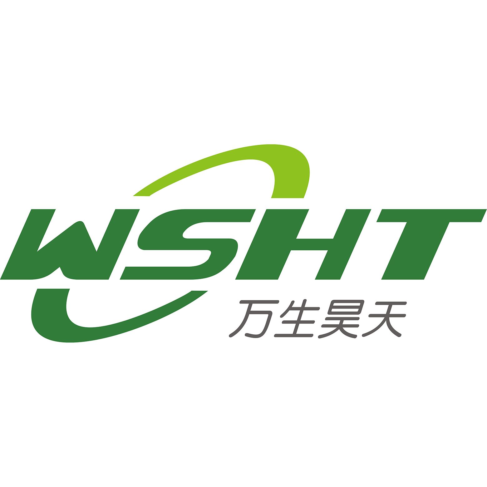 WSHT-SCZ2+型 垂直电泳槽
