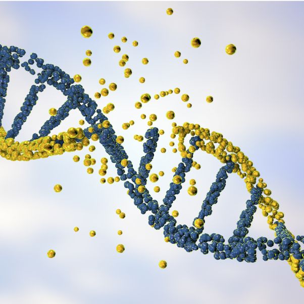 免疫微环境基因表达PCR芯片