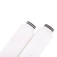 AB1DFL7PH4颇尔微电子Profile II AB1系列滤芯Pall PVDF 0.22