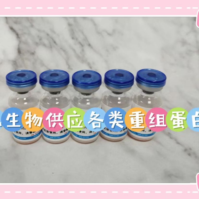 重组人白细胞介素1β（Human IL1β）