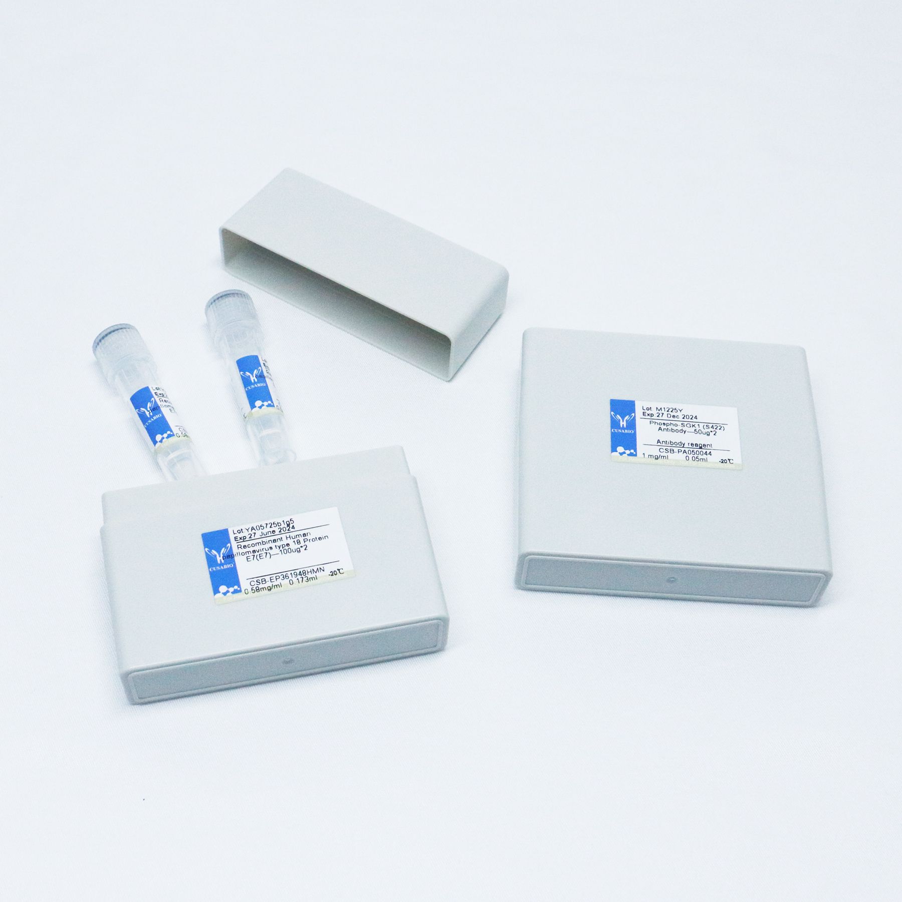 小鼠免疫球蛋白G2a|Mouse Immunoglobulin G2a|天然蛋白（人/鼠/牛/鸡/兔蛋白）