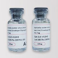 水痘带状疱疹病毒 (菌株 Oka vaccine) Envelope 糖蛋白 E (gE), His 标签