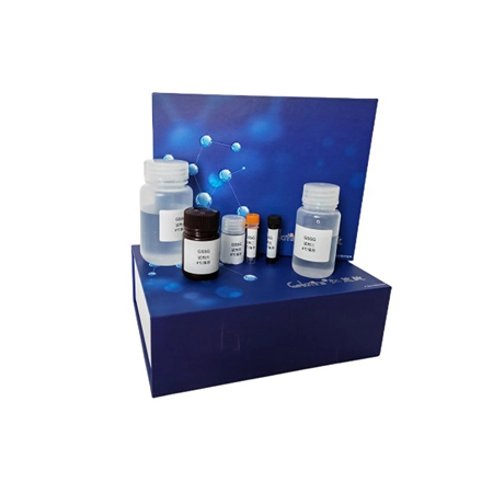 晶抗生物带您了解生化试剂盒有哪些