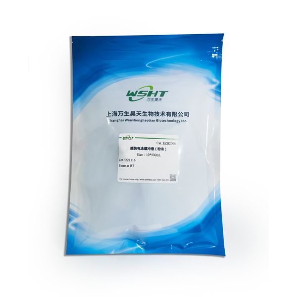 Western 快速转膜液（粉末）