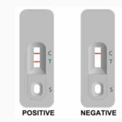 土拉热杆菌抗体快速检测试剂盒(金标法)
