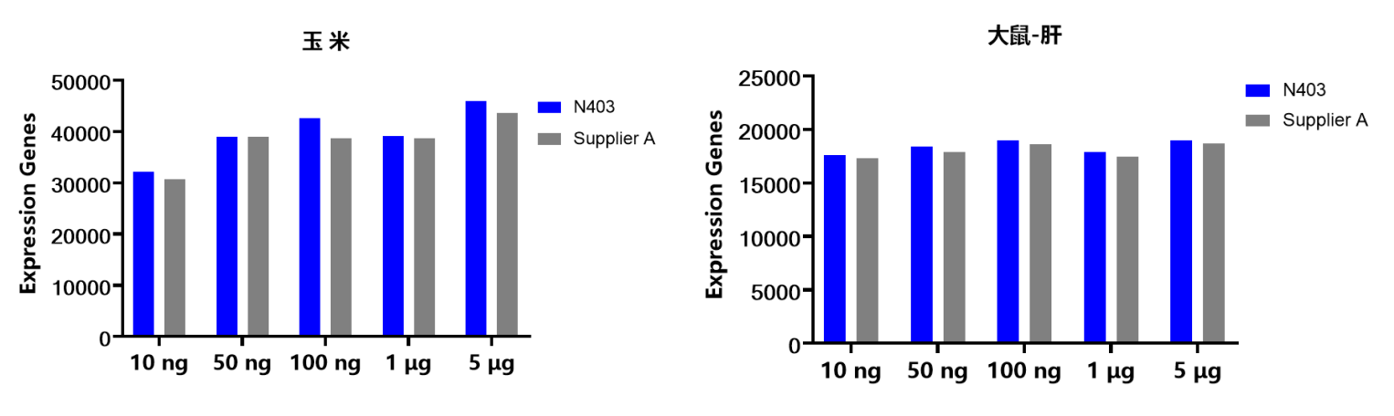 mRNA抓取试剂盒 VAHTS mRNA Capture B