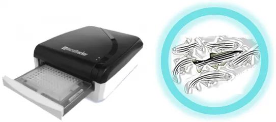 WMicrotracker ONE斑马鱼轨迹追踪分析