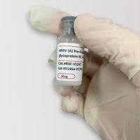 RSV：pre-F蛋白（呼吸道合胞病毒）