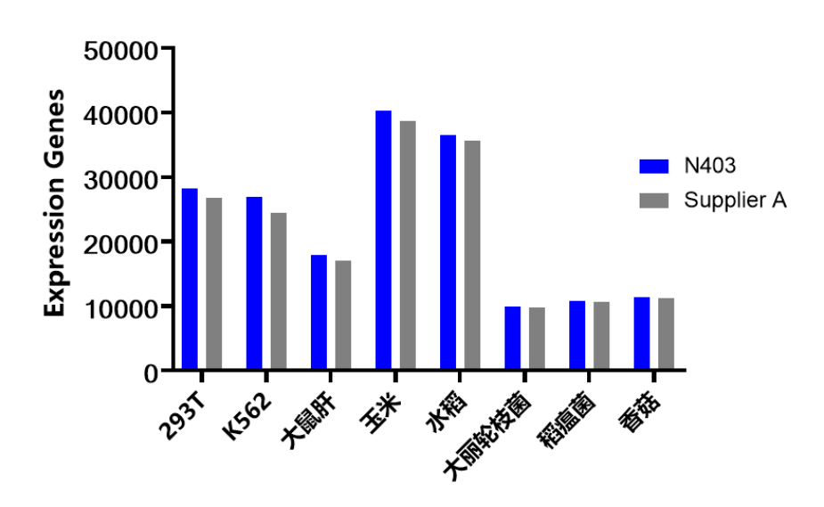 mRNA抓取试剂盒 VAHTS mRNA Capture B
