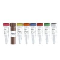 RNA建库试剂盒(预混版) VAHTS Universal V10 RNA-seq Library Prep Kit (Premixed Version) ( NR616/NRB616)