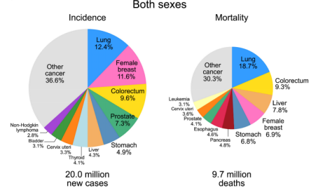 Ceturegel基质胶应用-胰腺癌类器官构建流程！