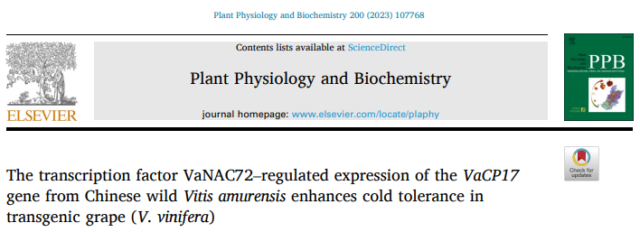 干货| 一文读懂并区分双荧光素酶实验(DLR)、双分子荧光互补(BiFC)、荧火素酶互补实验( LCA)