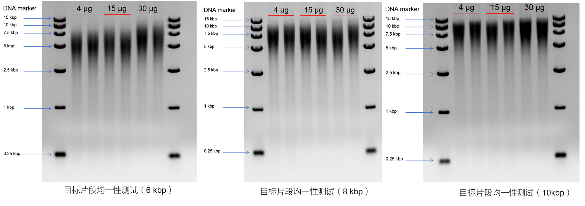 南京诺唯赞生物科技股份有限公司