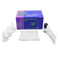 RayBio全线ELISA产品