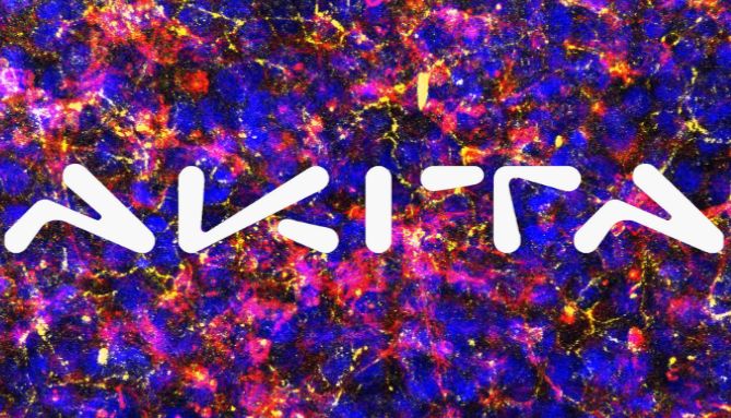 AKITA器官芯片 | 高通量无涂层肠道芯片_曼博生物