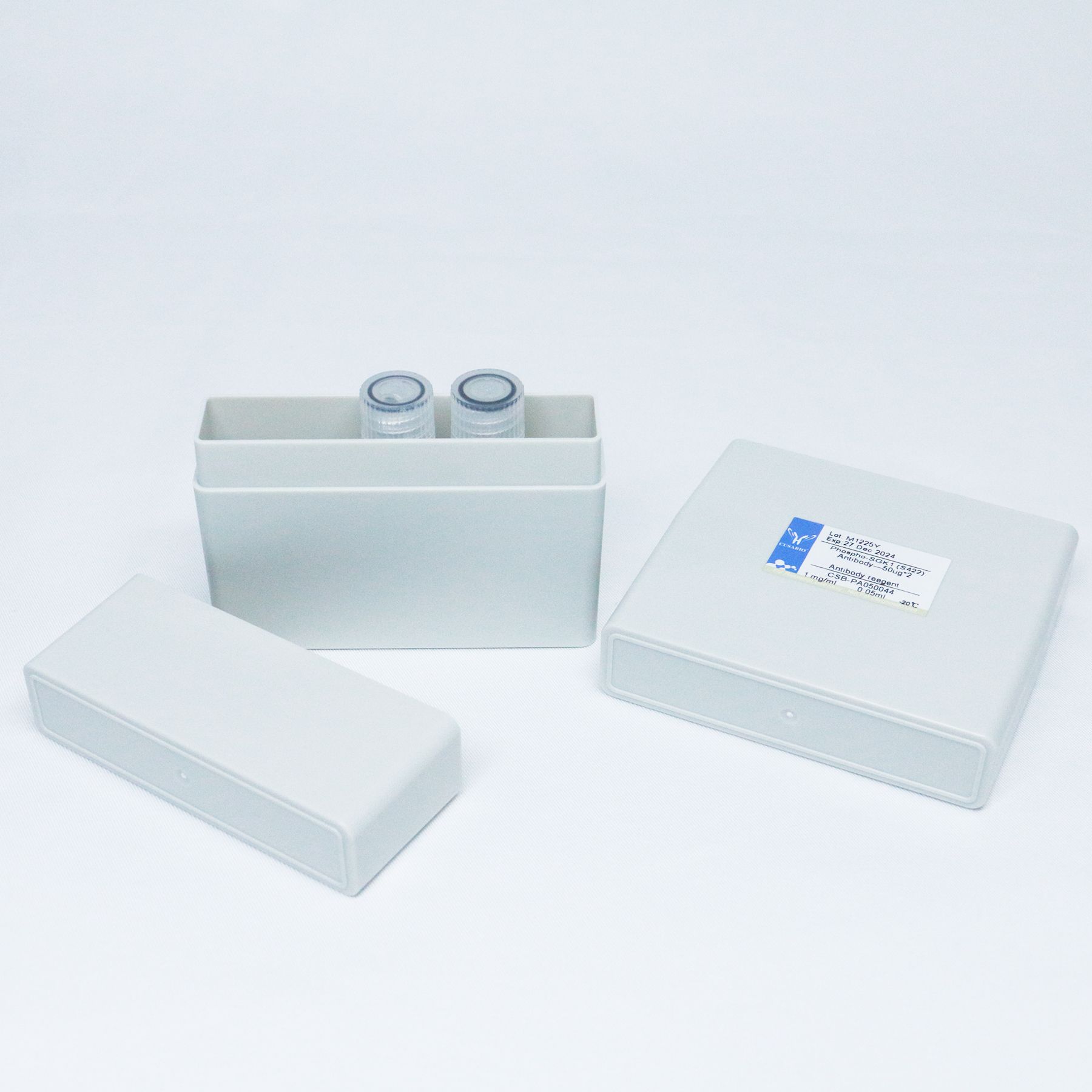 STUB1抗体STUB1兔多抗抗体UBOX1 antibody抗体STUB1 Antibody抗体