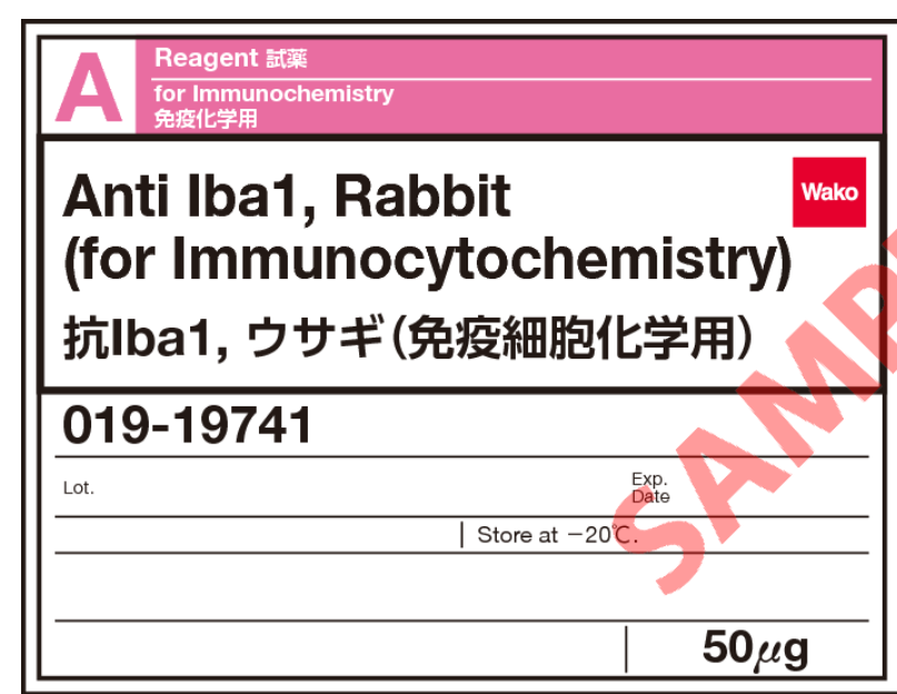 Wako兔源Iba1抗体019-19741