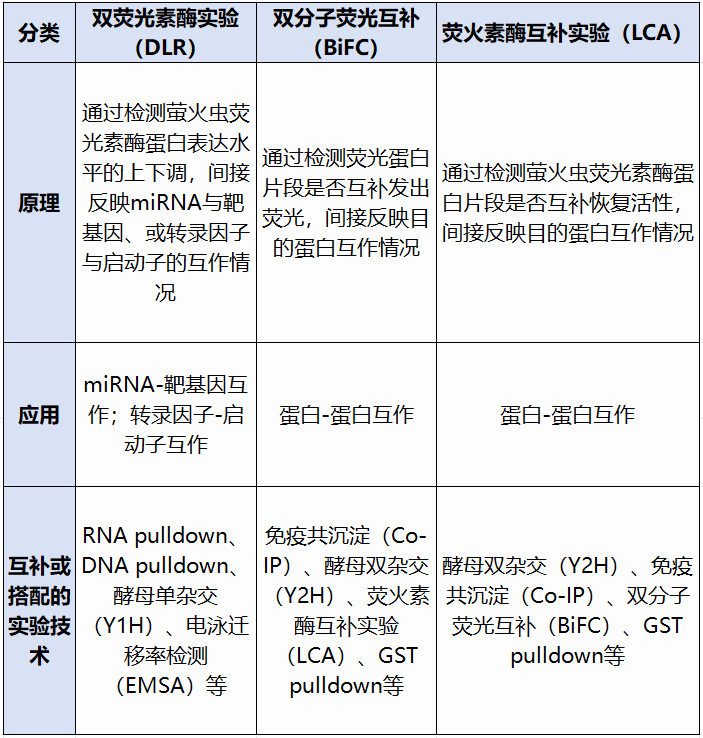 干货| 一文读懂并区分双荧光素酶实验(DLR)、双分子荧光互补(BiFC)、荧火素酶互补实验( LCA)