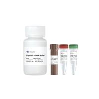 Equalbit ssDNA Assay Kit ( EQ311)
