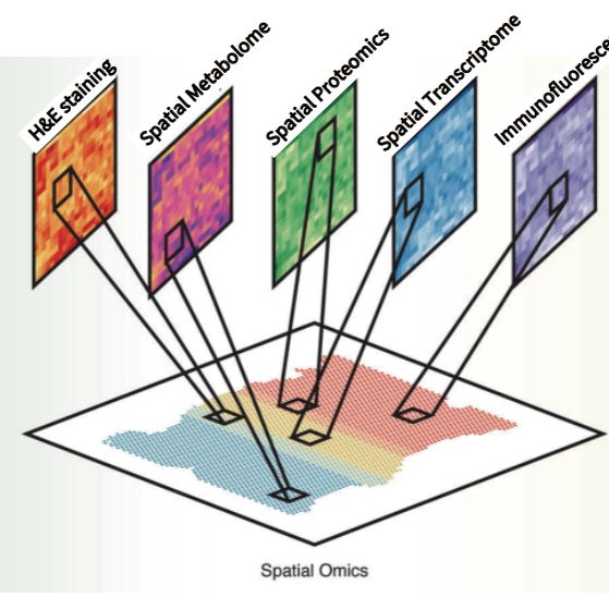 空间多组学联合