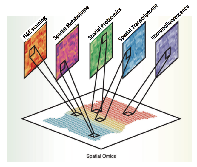 空间多组学联合