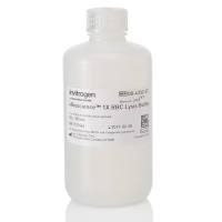 00-4333-57赛默飞1X红细胞裂解液流式细胞分析Thermo eBioscience