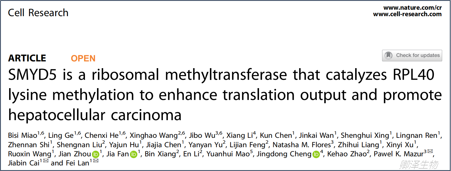 Cell Res. | 翻译组学技术助力揭示核糖体甲基化修饰介导的癌症发生发展