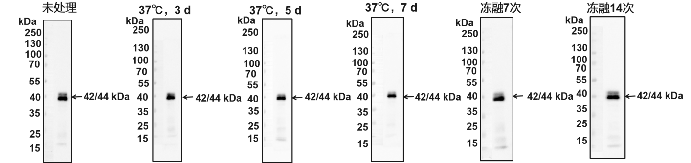 南京诺唯赞生物科技股份有限公司