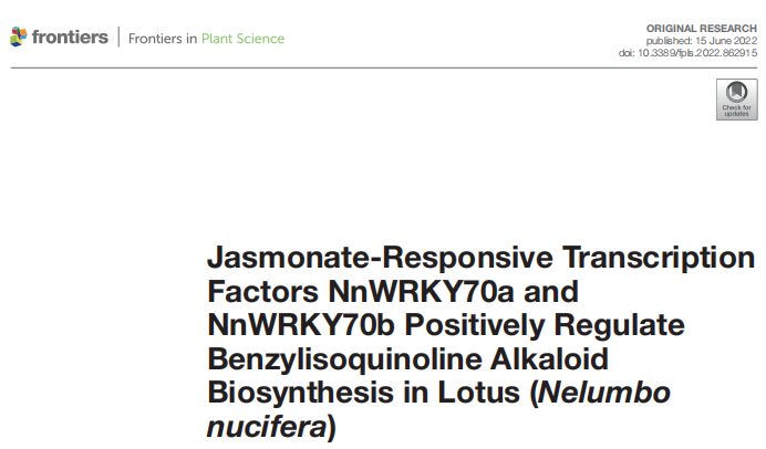 干货| 一文读懂并区分双荧光素酶实验(DLR)、双分子荧光互补(BiFC)、荧火素酶互补实验( LCA)