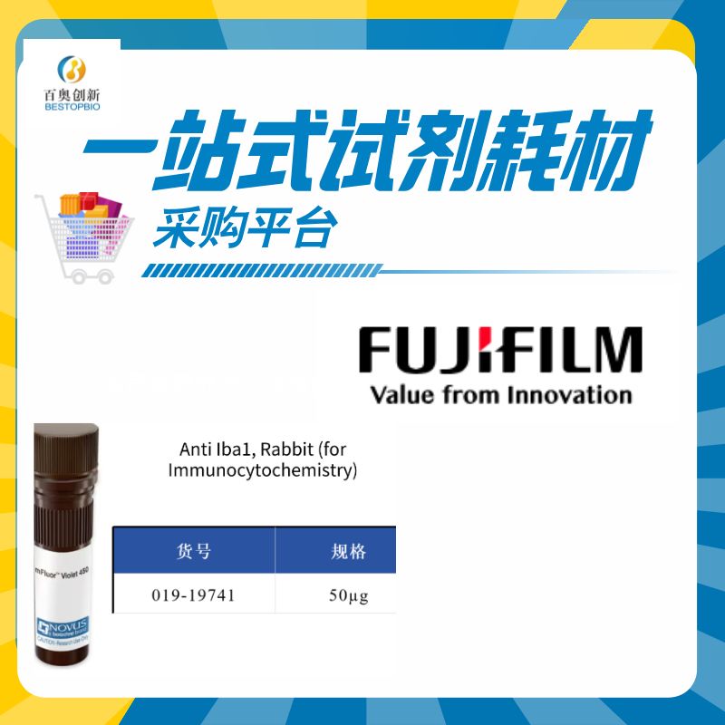 Wako兔源Iba1抗体019-19741